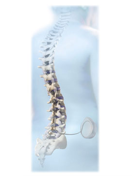 Dr. Kraus, a top neurosurgeon, and the doctors at the KBNI offer surgical and non-surgical treatments for the relief of lower back and neck pain. Pain management and relief options provided by Gary Kraus, MD.