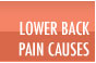 Lower Back Pain Causes