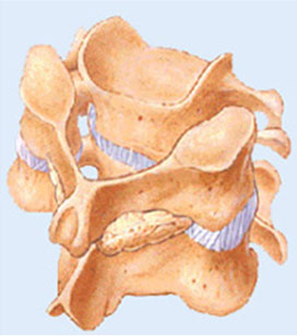 Posterior cervical fusion is neck surgery performed to stabilize the neck. 