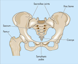 Sacroiliac (SI) Joint Injections
